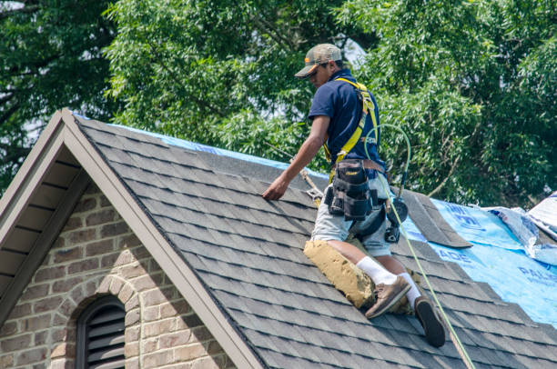 Best Shingle Roofing Installation  in Ntgomery City, MO